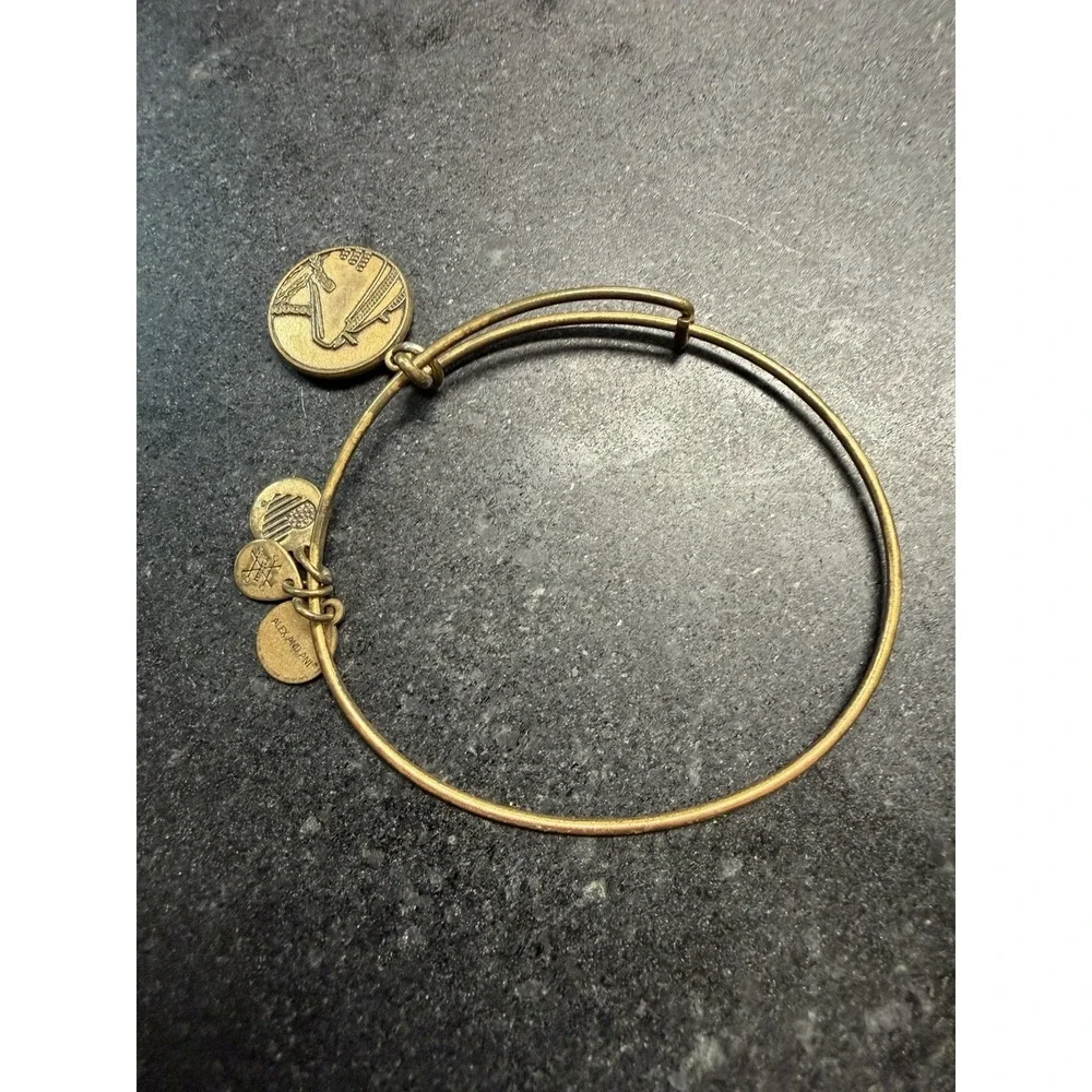 Alex And Ani Bangle Bracelet Lot Of 8 Mixed Stack Fleur De Lis Pineapple Marine